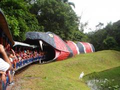 Mundo Mágico de Beto Carrero World - SC